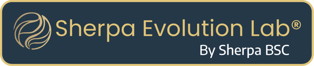 Evolution Distintivo